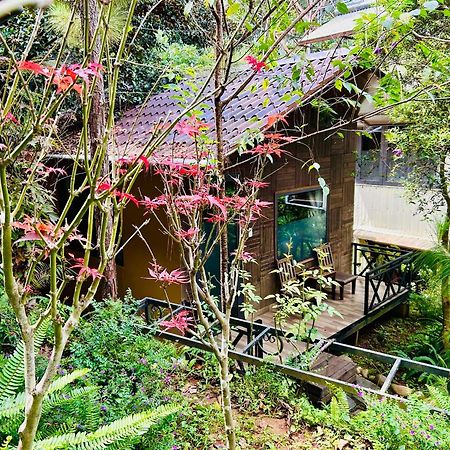 Bazan Home - Hotel & Bungalow Pleiku Eksteriør billede