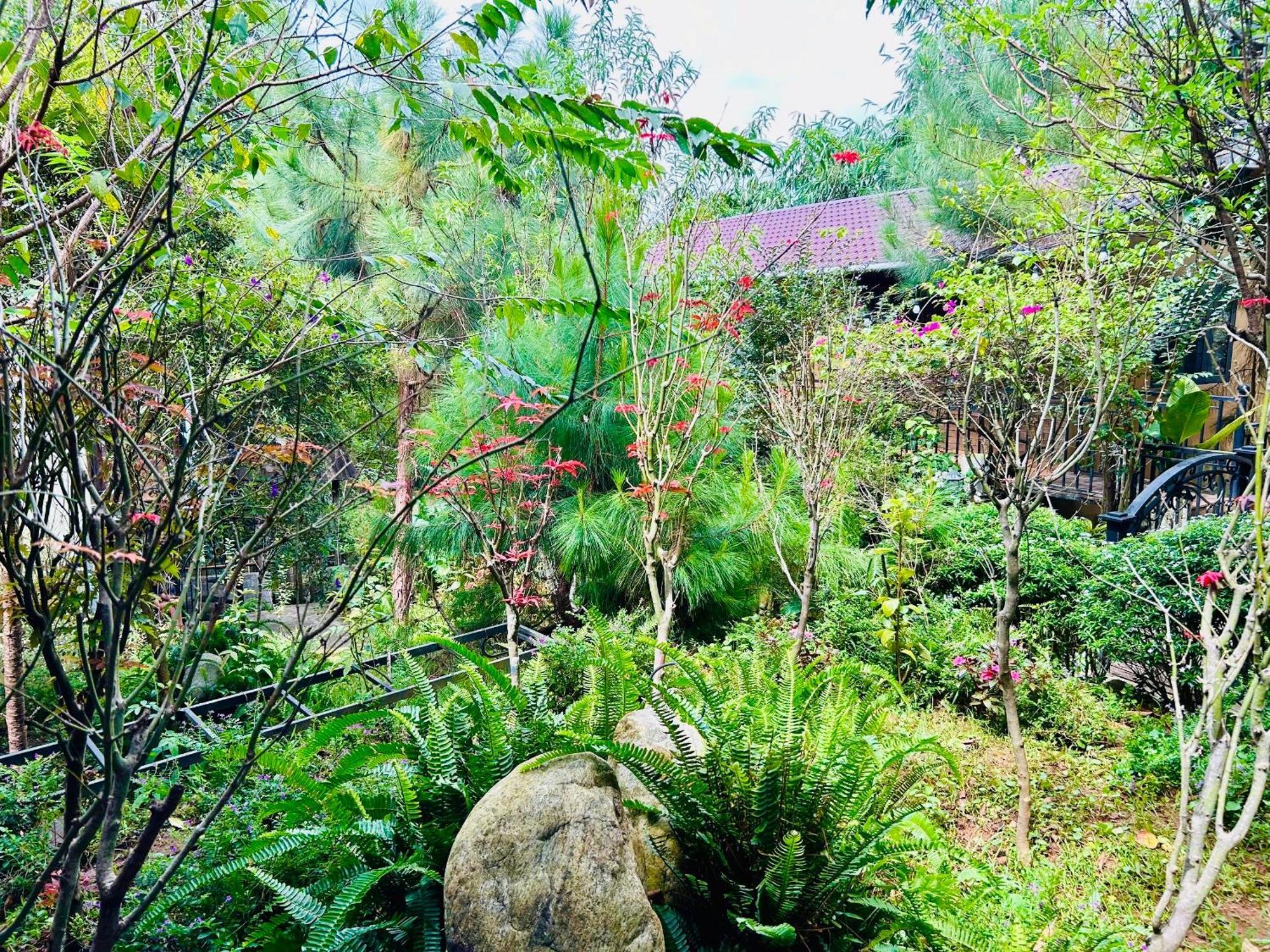 Bazan Home - Hotel & Bungalow Pleiku Eksteriør billede
