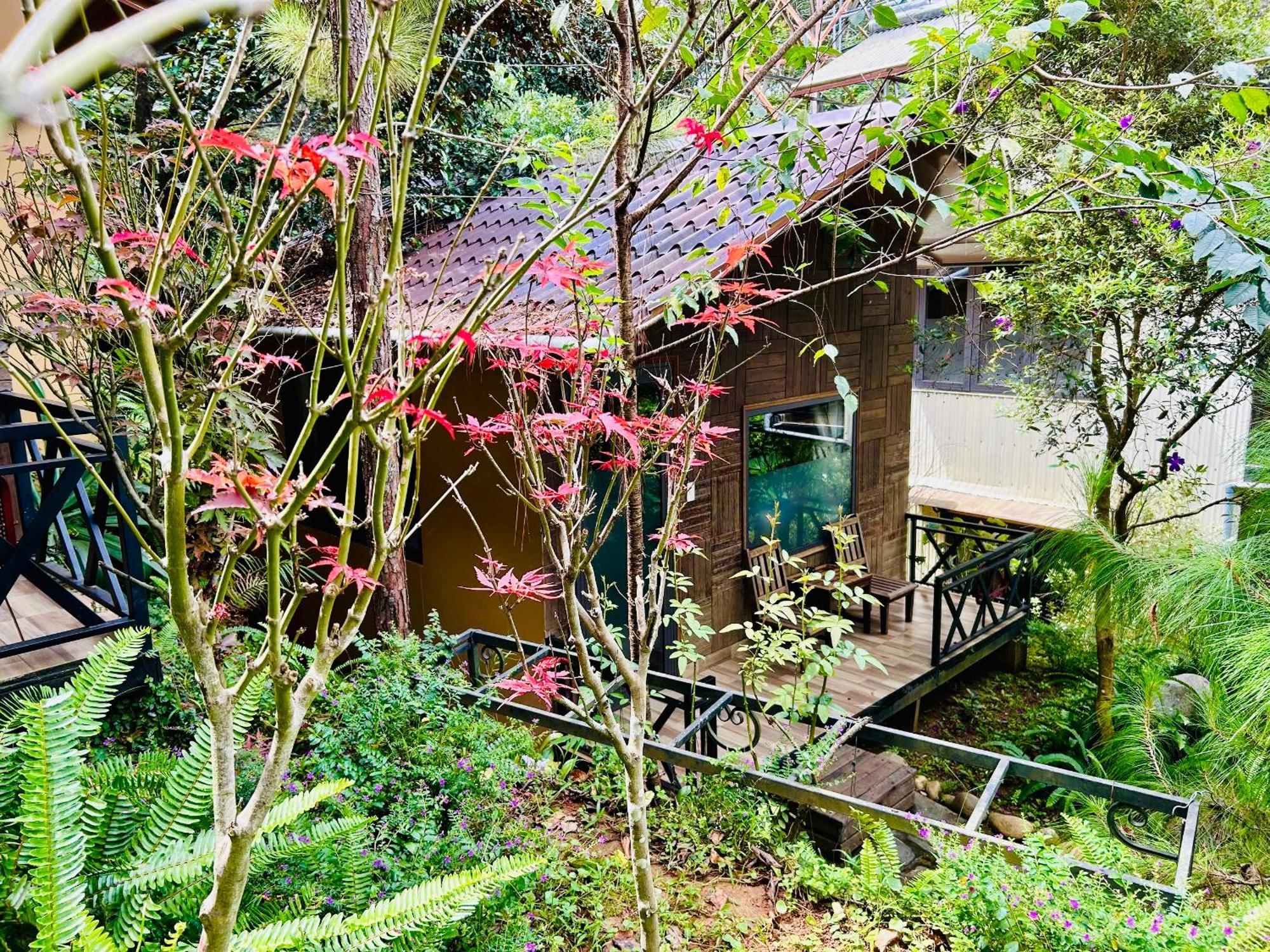 Bazan Home - Hotel & Bungalow Pleiku Eksteriør billede